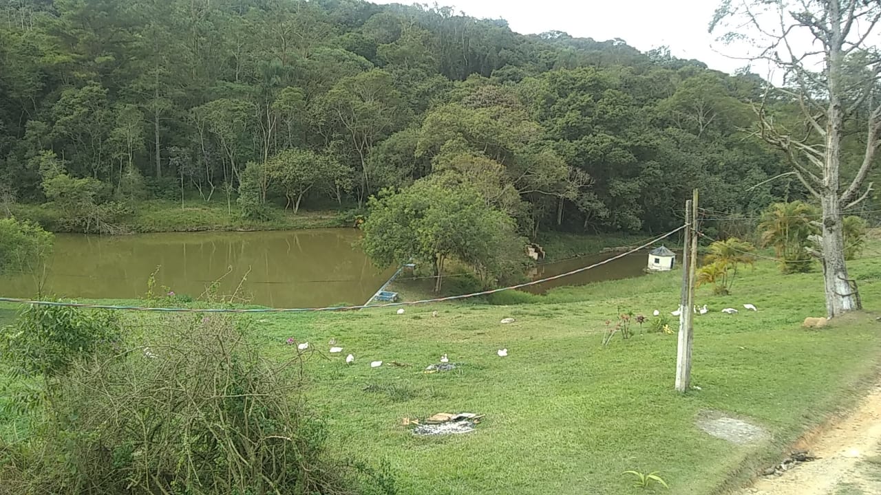Quartos em grupo ou individual